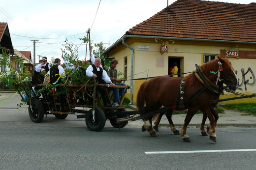 Štvrtočan 022.JPG
